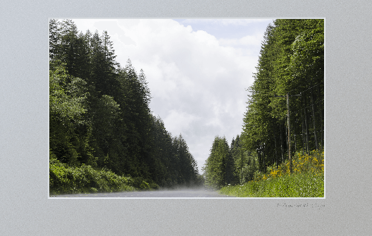 US 30 along Columbia river after rain storm, with mist